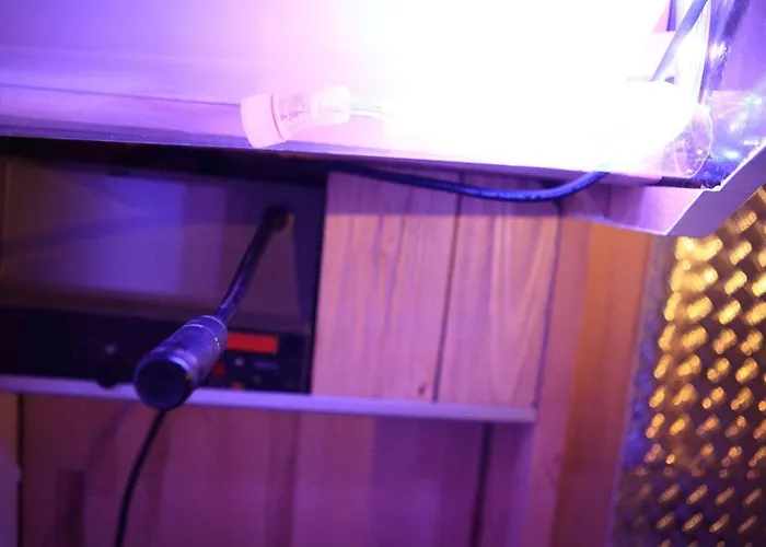 Appartement L'hiver *